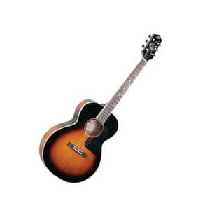 Kaps guitar shop st 10ac price